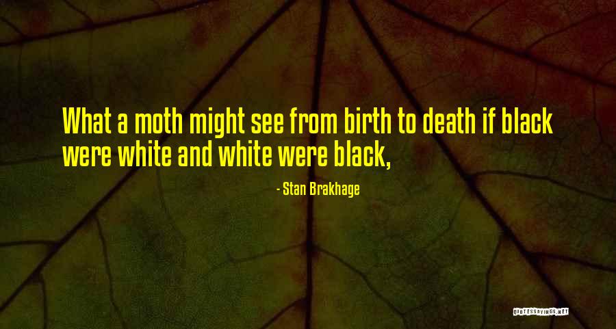 Viejito Quotes By Stan Brakhage