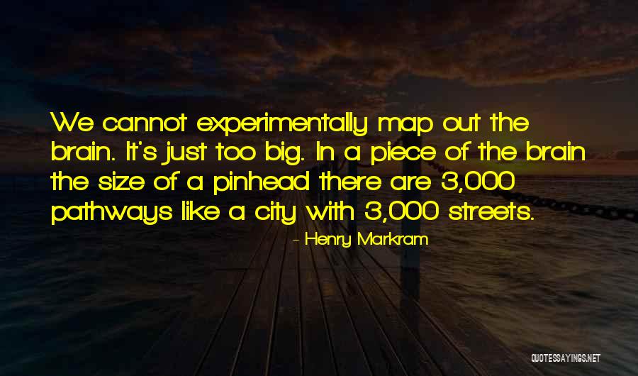 Vielles Et Jeunes Quotes By Henry Markram Vielles Et Jeunes Quotes By Henry Markram
