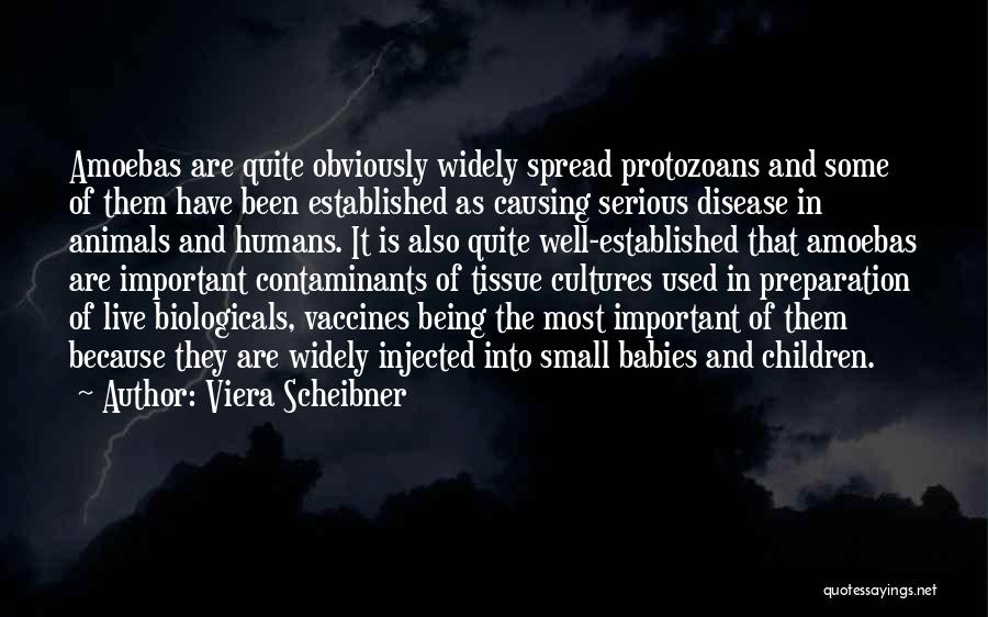 Viera Scheibner Quotes 1919273
