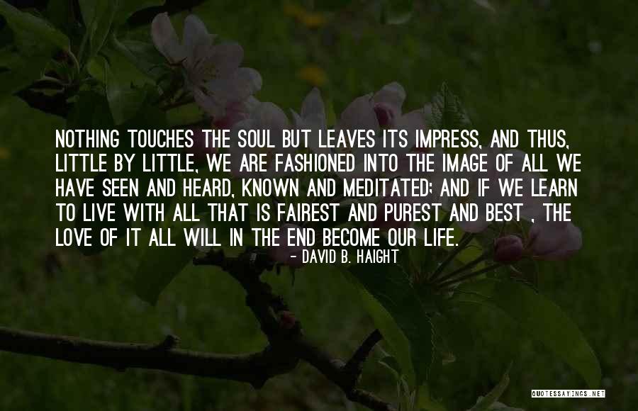 Viereck Farms Quotes By David B. Haight Viereck Farms Quotes By David B. Haight
