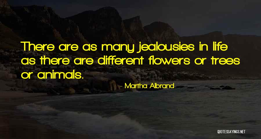 Vierheller Family History Quotes By Martha Albrand Vierheller Family History Quotes By Martha Albrand