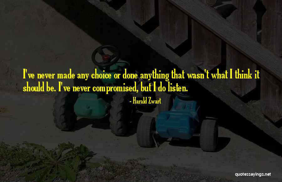 Vierundzwanzigste Quotes By Harald Zwart Vierundzwanzigste Quotes By Harald Zwart