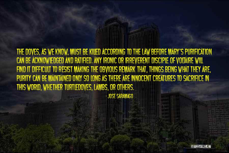 Viesa Virgin Quotes By Jose Saramago Viesa Virgin Quotes By Jose Saramago