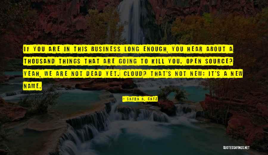 Vietnamese Funeral Quotes By Safra A. Catz Vietnamese Funeral Quotes By Safra A. Catz