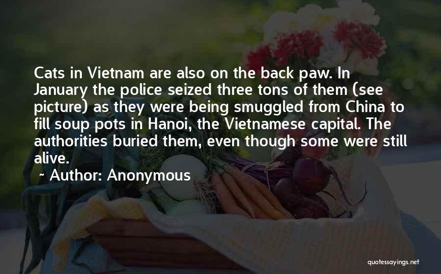 Vietnamese Quotes By Anonymous