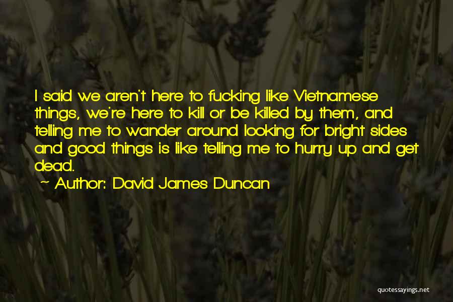 Vietnamese Quotes By David James Duncan