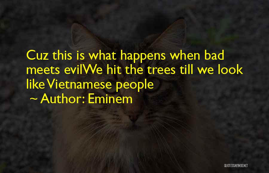 Vietnamese Quotes By Eminem