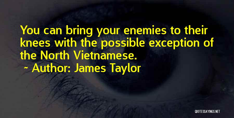 Vietnamese Quotes By James Taylor