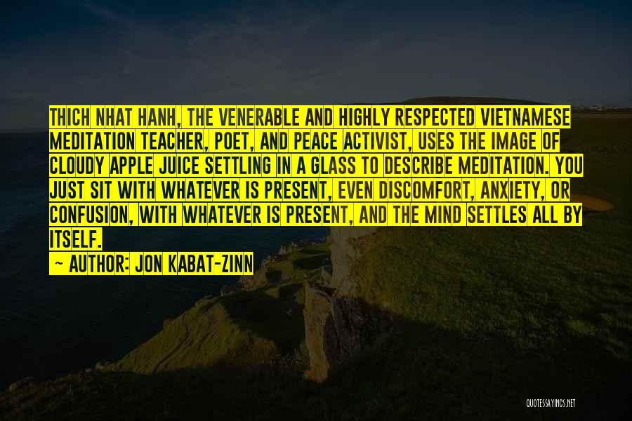 Vietnamese Quotes By Jon Kabat-Zinn