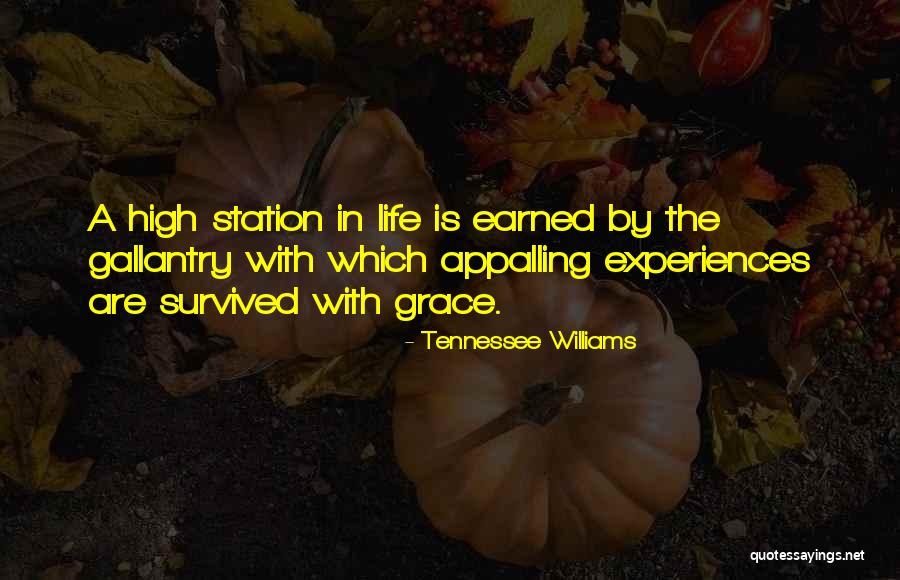 Vietos Regitroje Quotes By Tennessee Williams Vietos Regitroje Quotes By Tennessee Williams