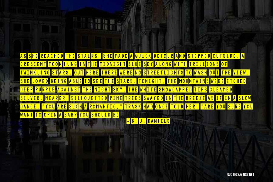 View From A Blue Moon Quotes By B. J. Daniels View From A Blue Moon Quotes By B. J. Daniels