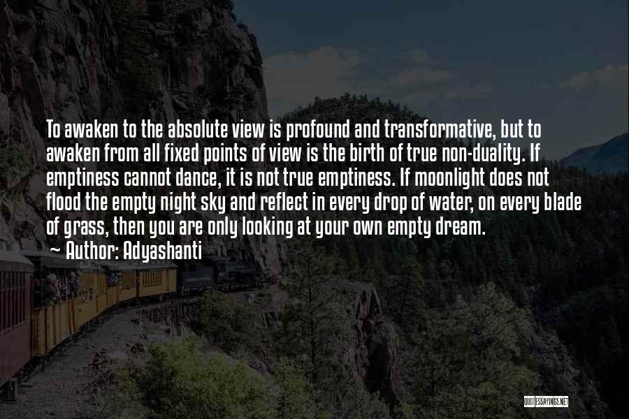 View From The Sky Quotes By Adyashanti