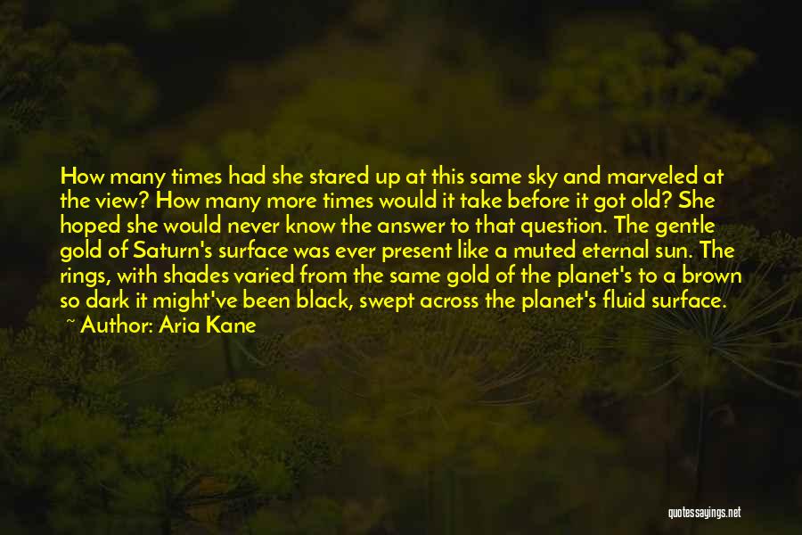 View From The Sky Quotes By Aria Kane