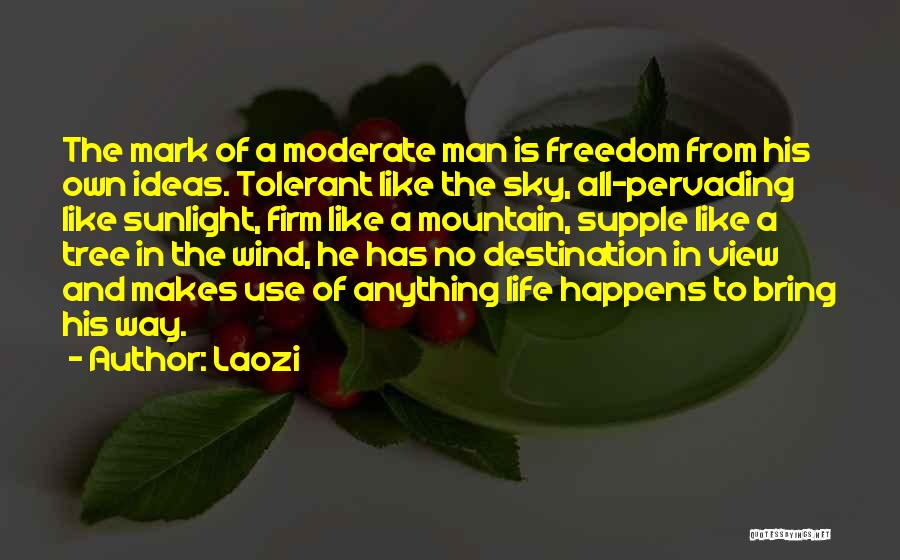 View From The Sky Quotes By Laozi