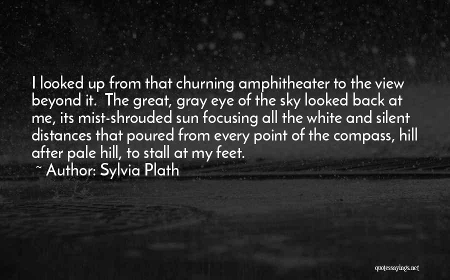 View From The Sky Quotes By Sylvia Plath