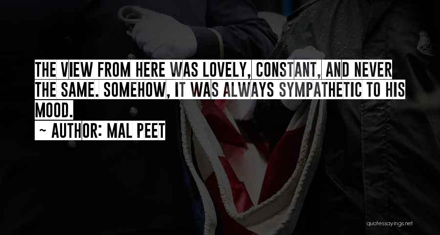 View From Up Here Quotes By Mal Peet