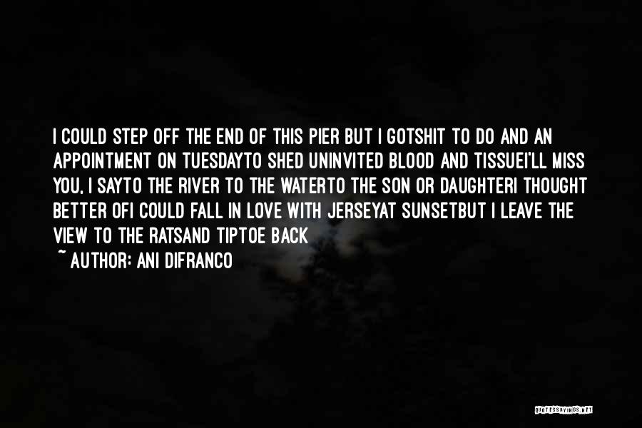 View Of Sunset Quotes By Ani DiFranco