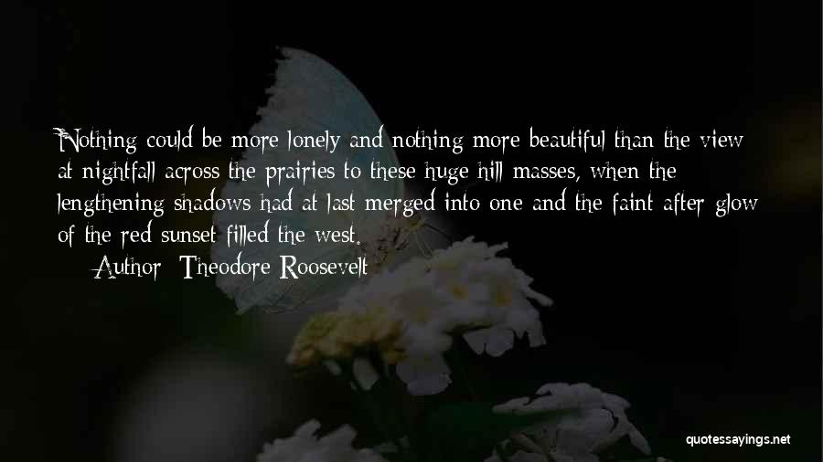 View Of Sunset Quotes By Theodore Roosevelt