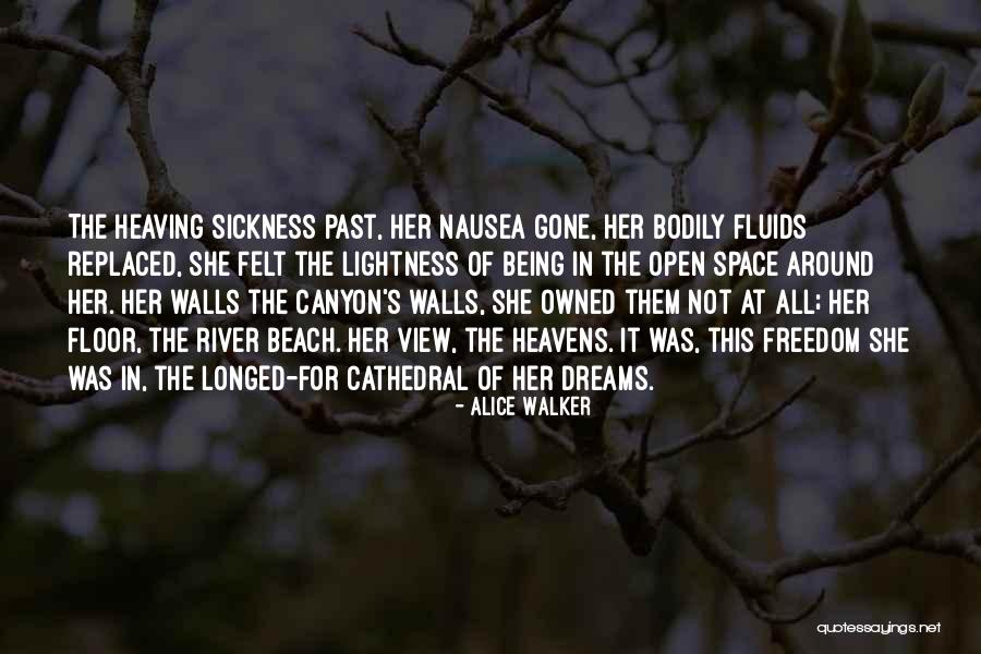 View Of The Beach Quotes By Alice Walker View Of The Beach Quotes By Alice Walker