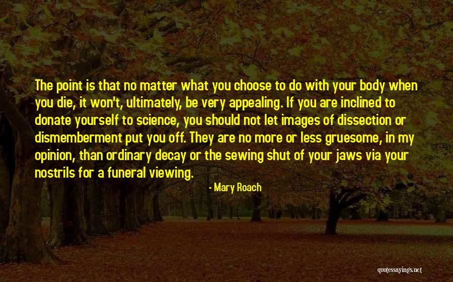 Viewing Others Quotes By Mary Roach Viewing Others Quotes By Mary Roach