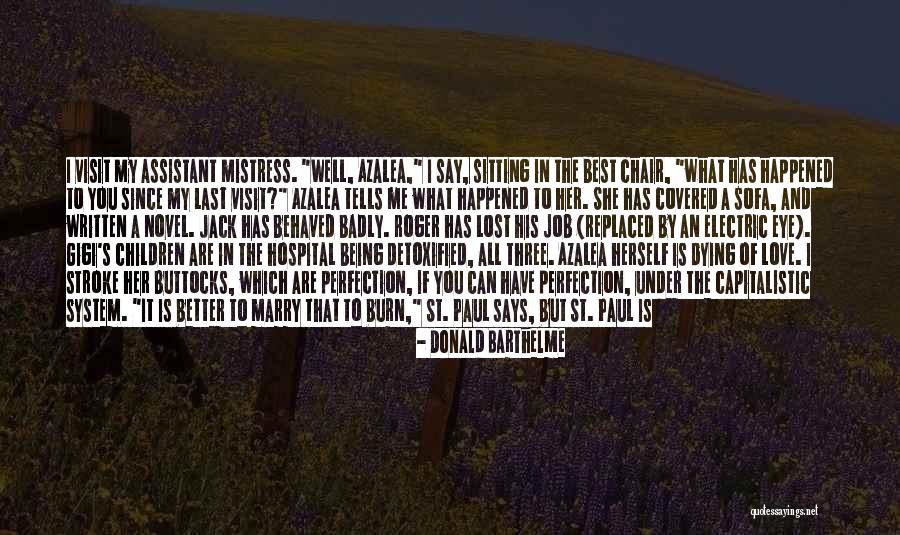 Views And Love Quotes By Donald Barthelme Views And Love Quotes By Donald Barthelme