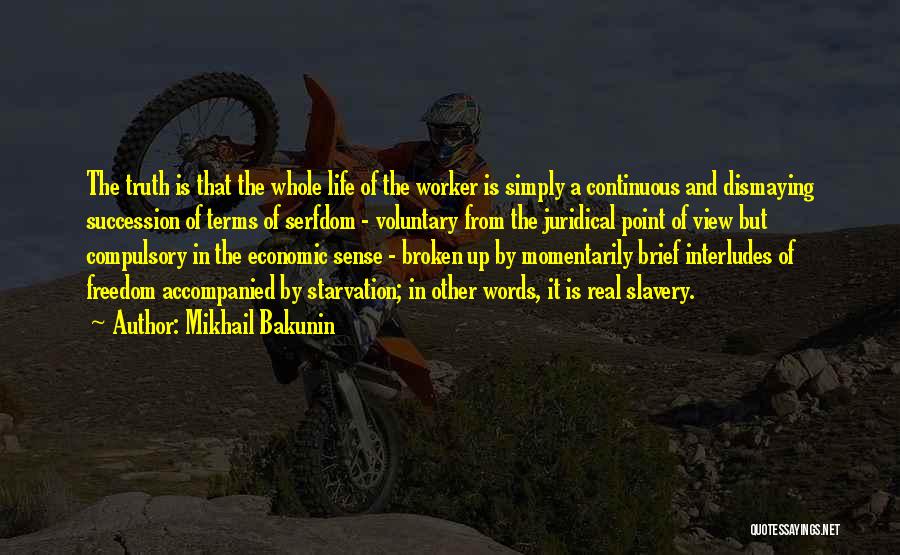 Views In Life Quotes By Mikhail Bakunin