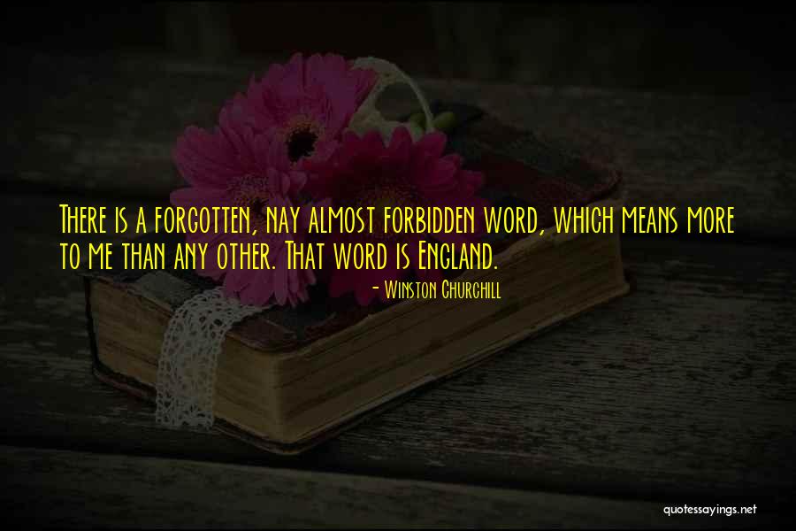Vigas De Madera Quotes By Winston Churchill Vigas De Madera Quotes By Winston Churchill