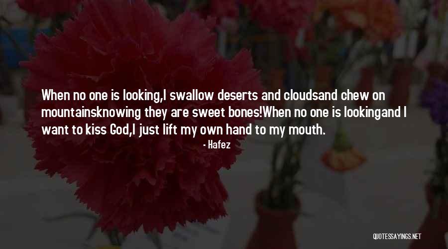 Vigesimal System Quotes By Hafez Vigesimal System Quotes By Hafez
