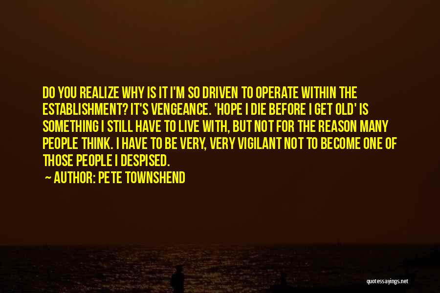 Vigilant Quotes By Pete Townshend