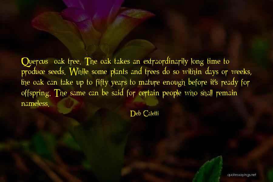 Vigliotta Family Quotes By Deb Caletti Vigliotta Family Quotes By Deb Caletti