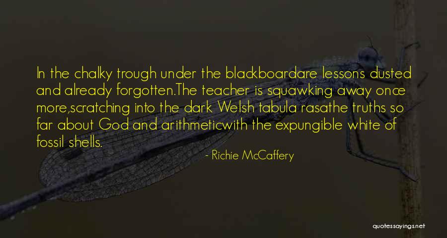 Vigna Quotes By Richie McCaffery Vigna Quotes By Richie McCaffery
