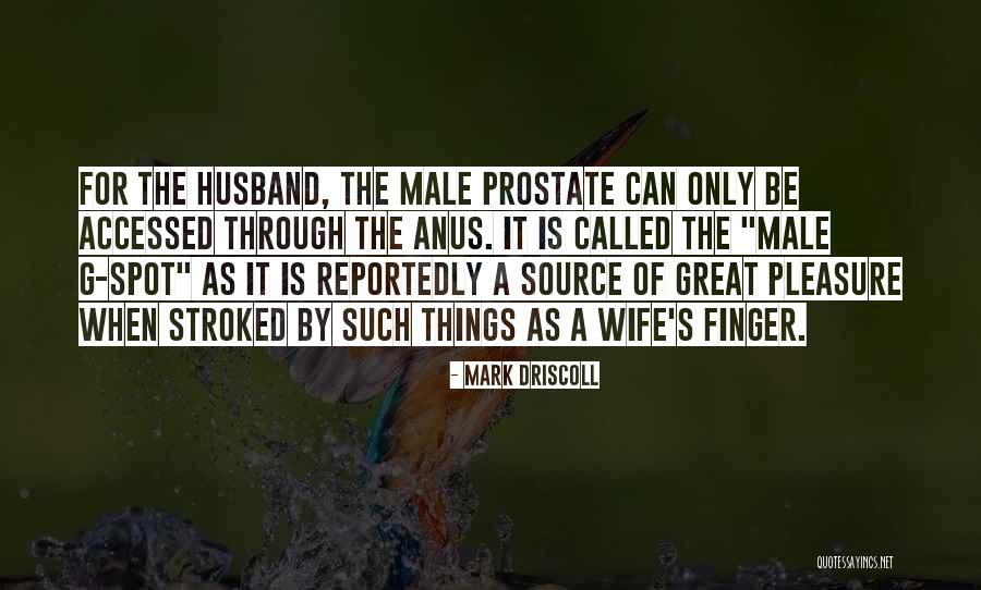 Vigneault Rangers Quotes By Mark Driscoll Vigneault Rangers Quotes By Mark Driscoll