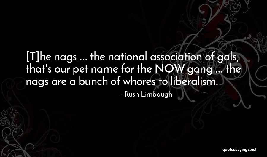 Vignelli Handkerchief Quotes By Rush Limbaugh Vignelli Handkerchief Quotes By Rush Limbaugh