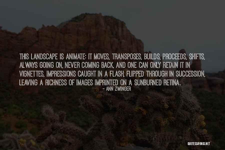 Vignettes Quotes By Ann Zwinger Vignettes Quotes By Ann Zwinger