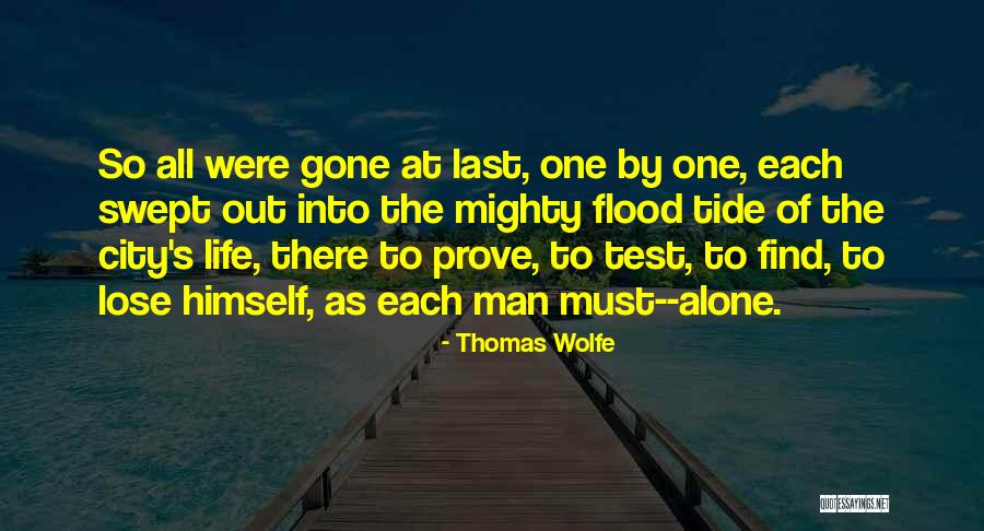 Vigology Quotes By Thomas Wolfe