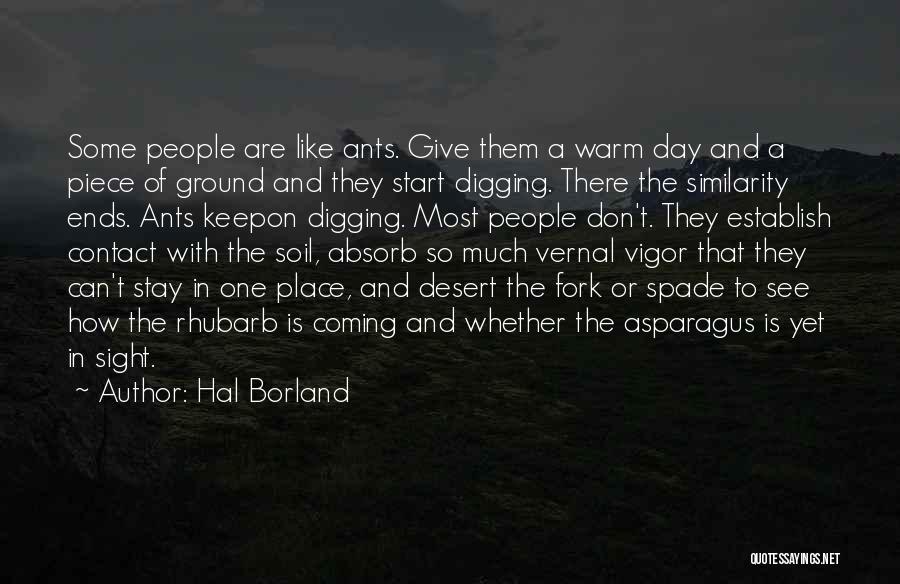 Vigor Quotes By Hal Borland