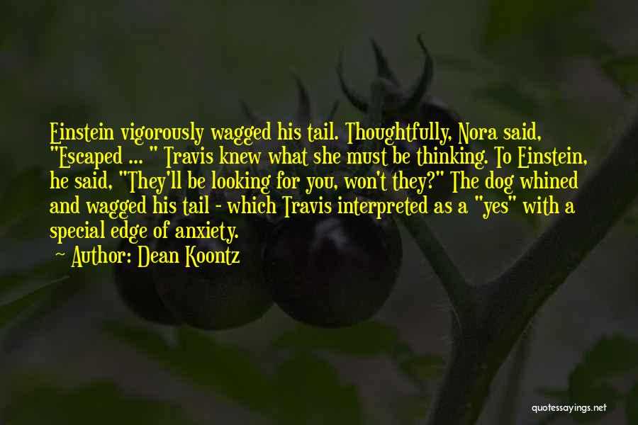 Vigorously Quotes By Dean Koontz