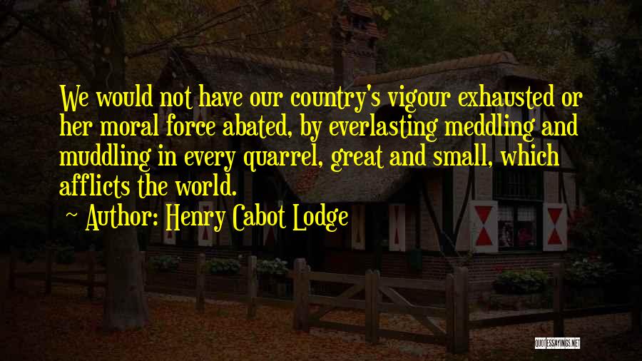 Vigour Quotes By Henry Cabot Lodge