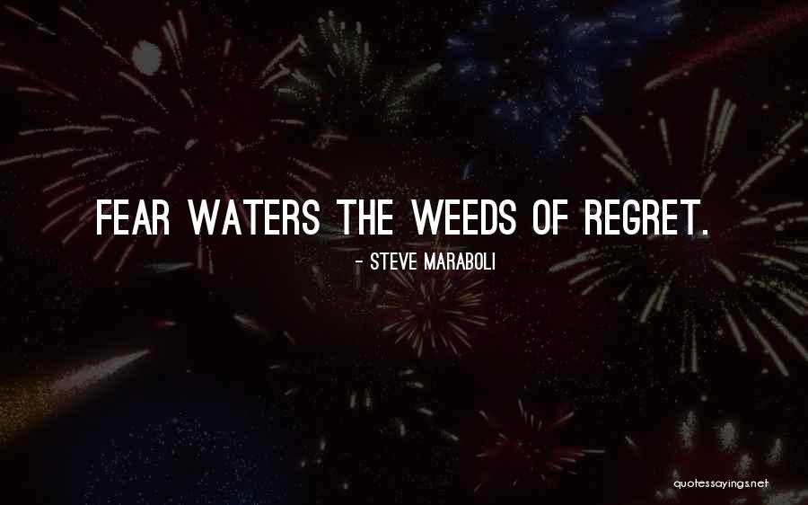 Vihuela Guitar Quotes By Steve Maraboli Vihuela Guitar Quotes By Steve Maraboli