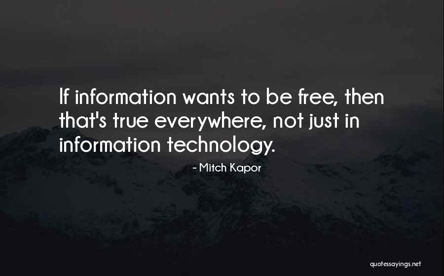 Viisas El M Quotes By Mitch Kapor Viisas El M Quotes By Mitch Kapor
