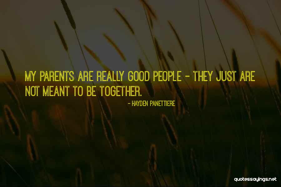 Viita Viitala Quotes By Hayden Panettiere Viita Viitala Quotes By Hayden Panettiere