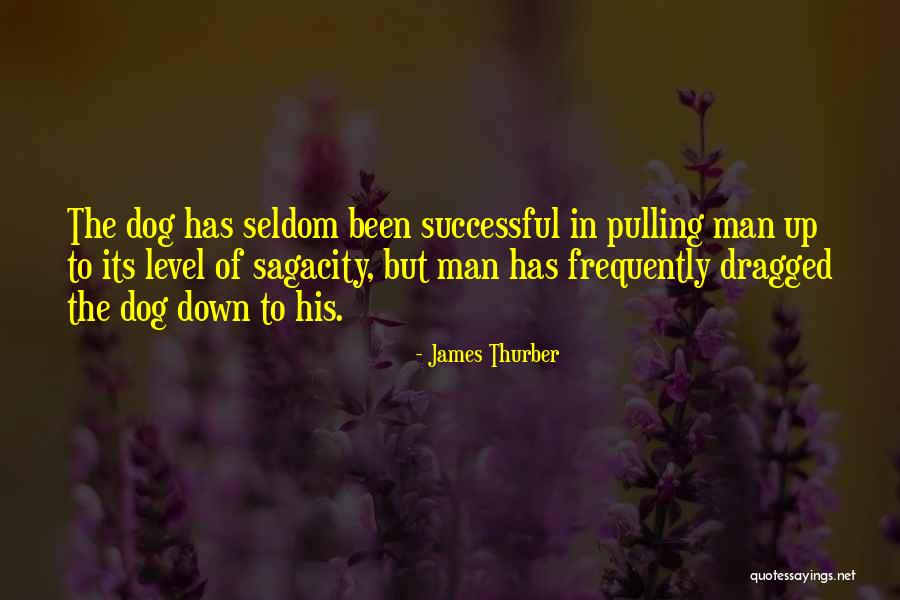 Viitori Quotes By James Thurber Viitori Quotes By James Thurber