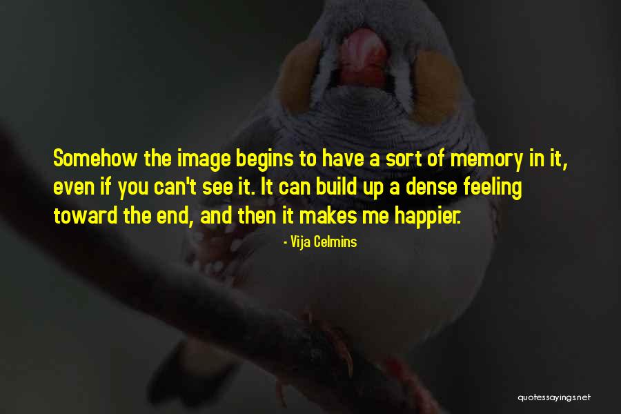Vija Celmins Quotes 1676512 Vija Celmins Quotes 1676512