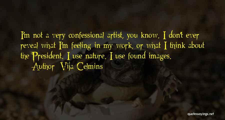 Vija Celmins Quotes 645950