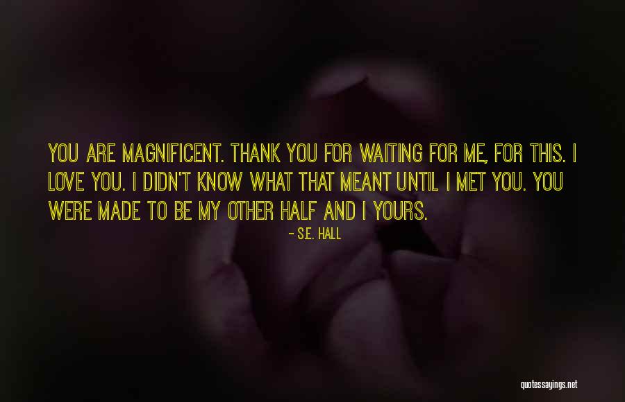 Vijay Anand Quotes By S.E. Hall Vijay Anand Quotes By S.E. Hall