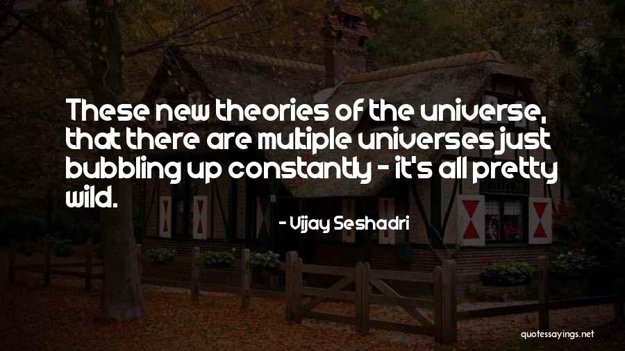 Vijay Seshadri Quotes 1705413