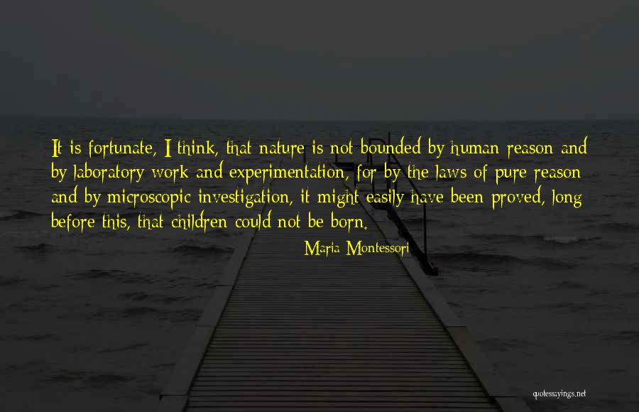 Vijesti Index Quotes By Maria Montessori Vijesti Index Quotes By Maria Montessori