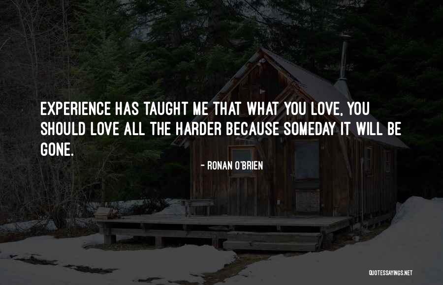Vikingdom 2013 Quotes By Ronan O'Brien Vikingdom 2013 Quotes By Ronan O'Brien