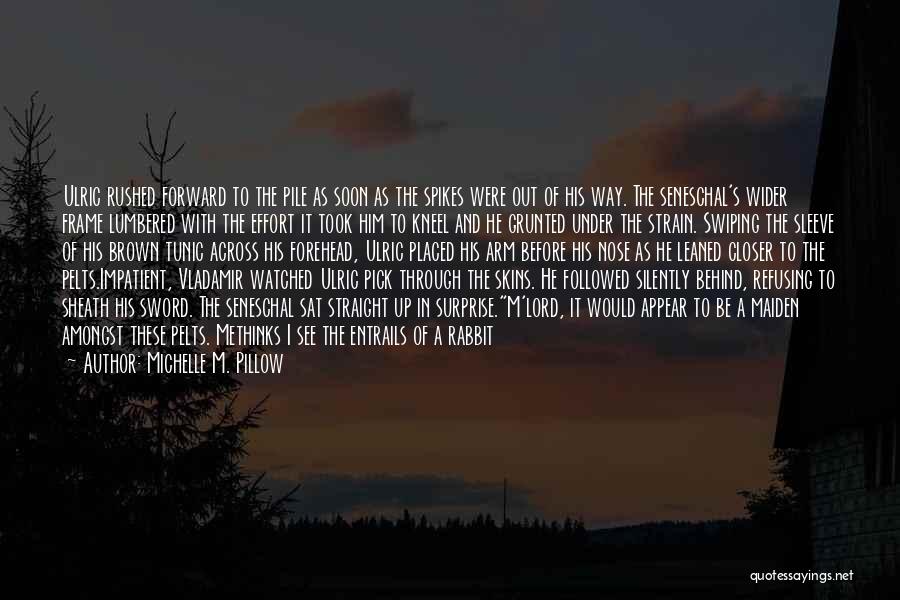 Vikings Quotes By Michelle M. Pillow