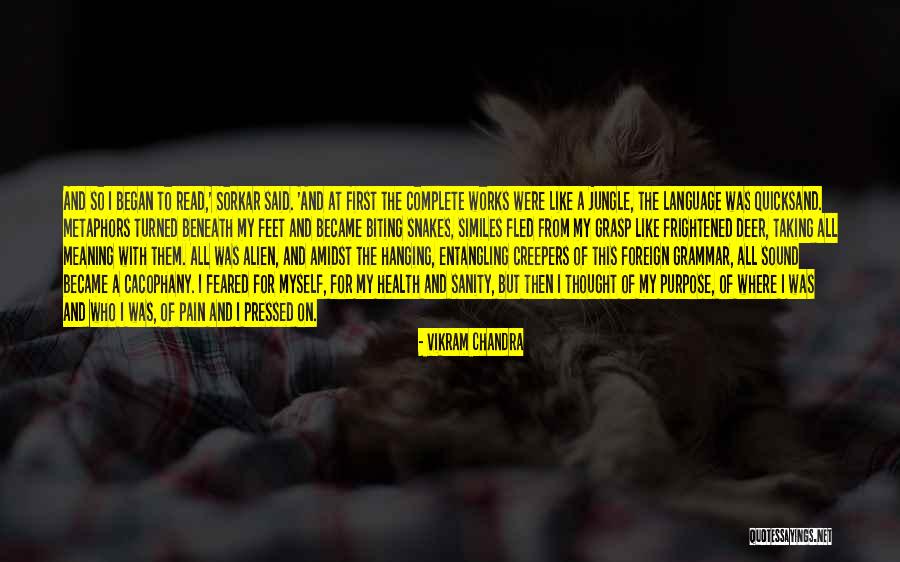 Vikram Chandra Quotes 2050139 Vikram Chandra Quotes 2050139